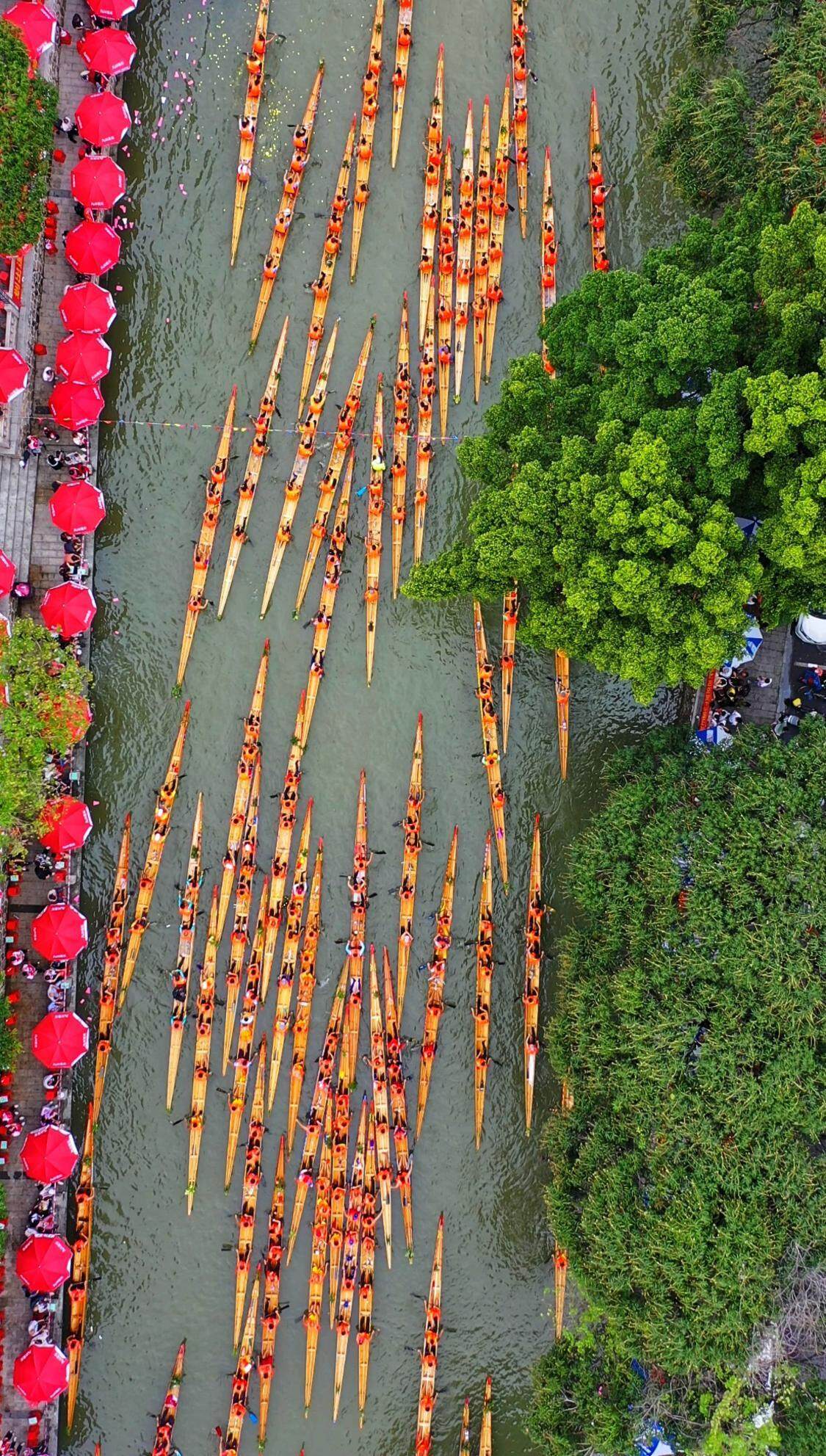 广东佛山：超百支队伍竞渡！九江五人龙舟赛上演狂飙对决(图1)