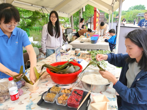盐城大丰：湿地龙舟竞渡 艾香飘荡野鹿荡(图3)