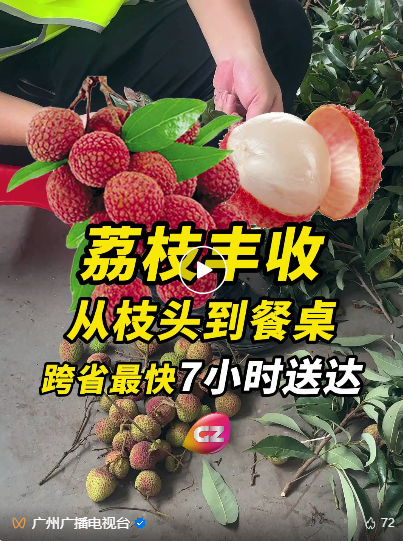 六月爱拼才会赢！南粤大地热力全开!(图5)