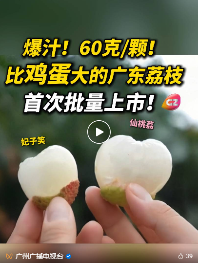 六月爱拼才会赢！南粤大地热力全开!(图6)