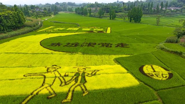 湖北端午节亲子活动推荐探索四种新颖玩法。