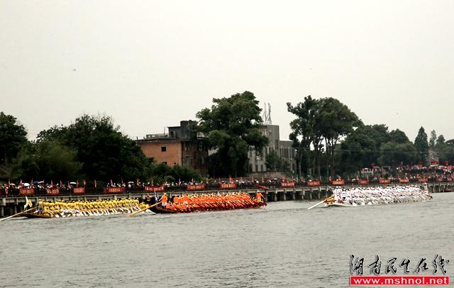 千年传承！湖南益阳兰溪龙舟赛在等您来！