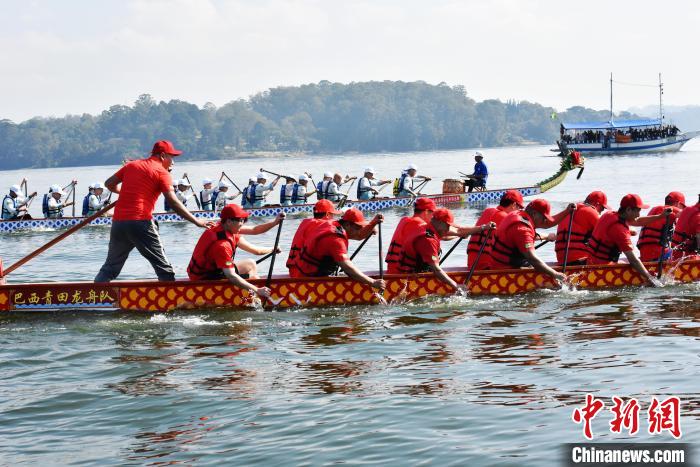 巴西端午龙舟竞渡：“点燃去中国的热情”(图2)