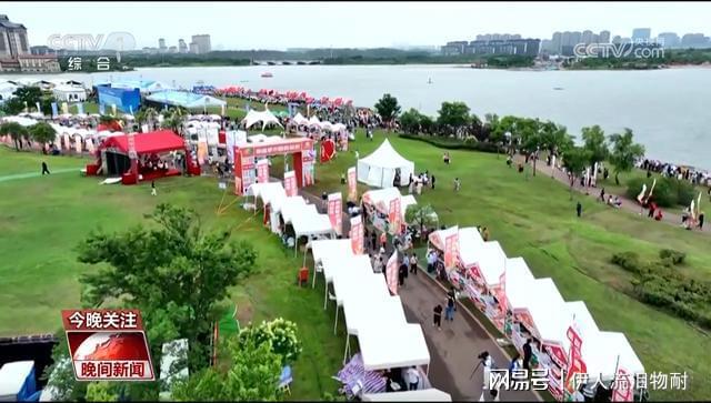 文旅经济观察：当龙舟划破消费蓝海(图2)