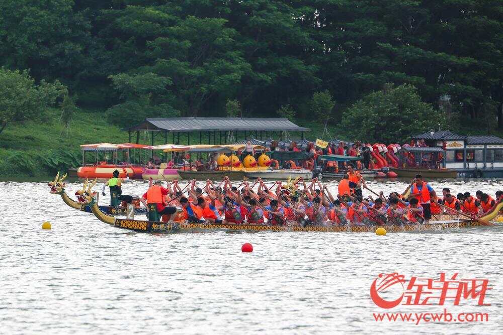 视频｜29支队伍水上“狂飙”白云区龙舟公开赛激情上演(图2)
