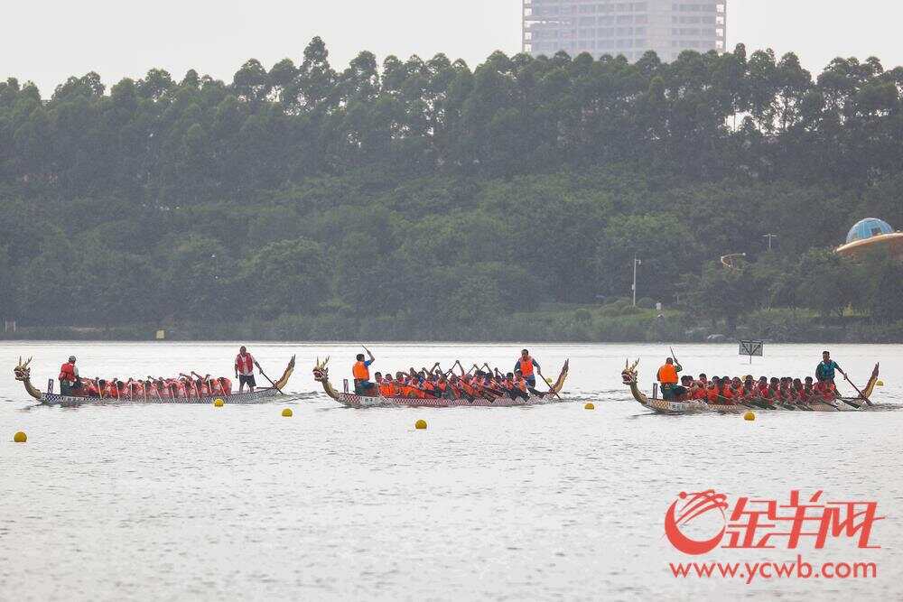 视频｜29支队伍水上“狂飙”白云区龙舟公开赛激情上演(图4)