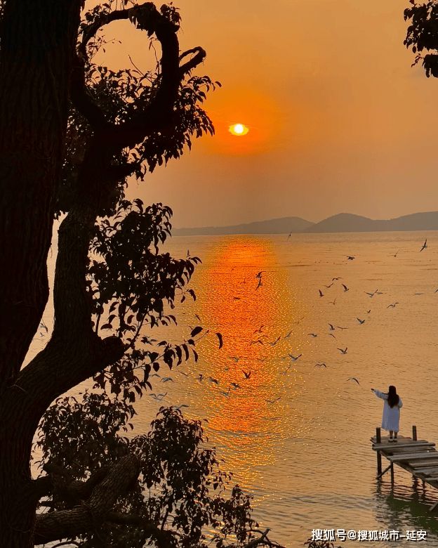 苏州5天4晚当地亲子旅行团小团跟团花费5日游路线+景点旅游攻略(图5)