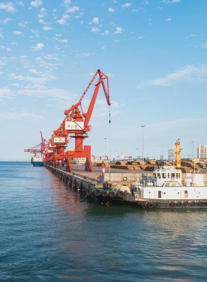 厦漳泉“合体”：海峡西岸都市圈如何崛起？(图4)