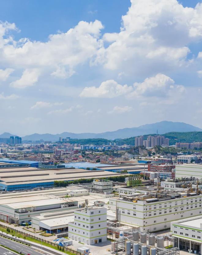 厦漳泉“合体”：海峡西岸都市圈如何崛起？(图8)