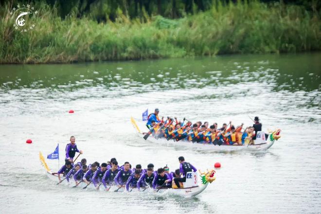 从龙舟鼓点到水乡鲜味！快来青浦赴一场“动静双绝”盛宴！(图4)