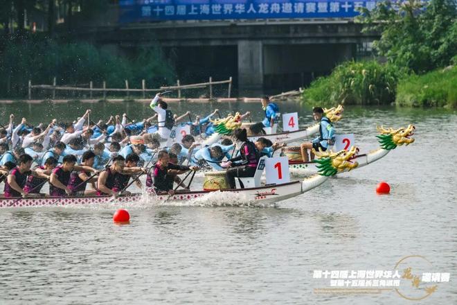 赛龙舟、“聚”知音！全球健儿赴青浦挥桨逐波话同心(图3)