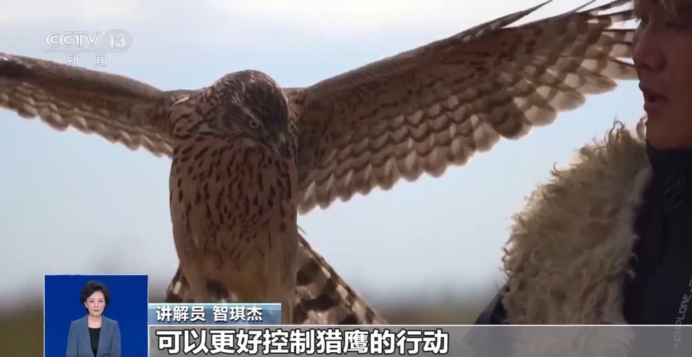 民间工艺+地方特产 “村博”逐渐“出圈”(图7)