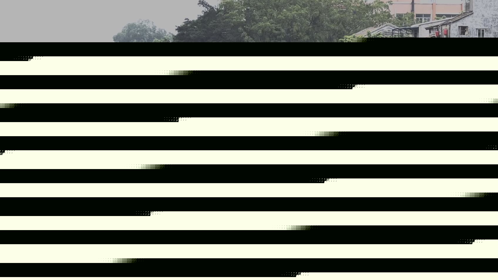 百舟竞渡木兰溪：千人桨手激情巡游莆田水道