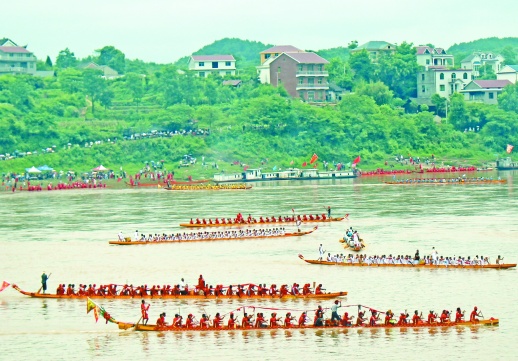 金秋枫湖竞龙舟 郑州市第七届龙舟锦标赛圆满落幕