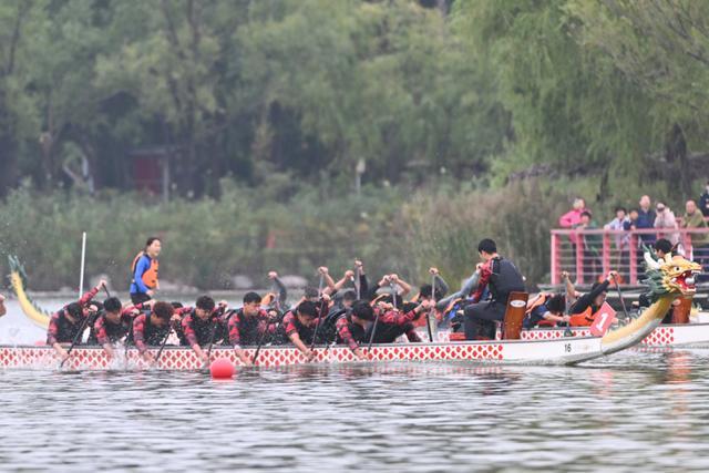 景中竞渡舟如箭绿博园里赛龙舟(图5)