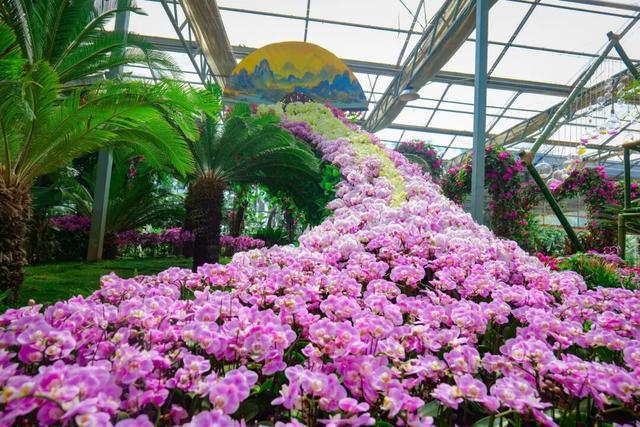 新场景+新玩法！这个假期来中牟“花式”过双节(图2)