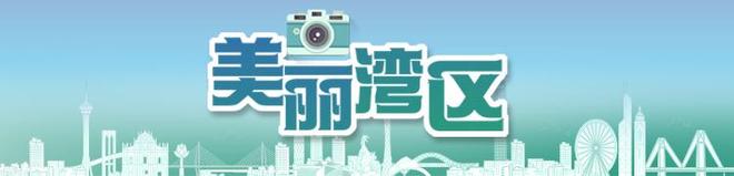 月光邂逅！十五运会吉祥物闪现香港维园中秋灯海萌力值爆表