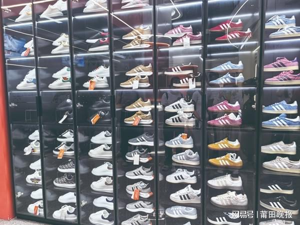 龙舟竞发 百业争流“状元精神”为莆田发展注入新动能