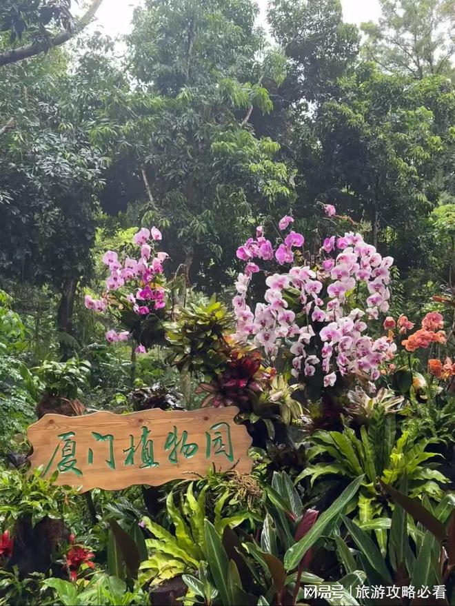 厦门旅游经典行程和必玩景点这份攻略帮你轻松安排厦门旅游行程(图2)