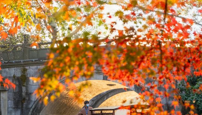 权威发布！杭州靠谱旅行社排名前十远胜游登顶数据说话(图2)