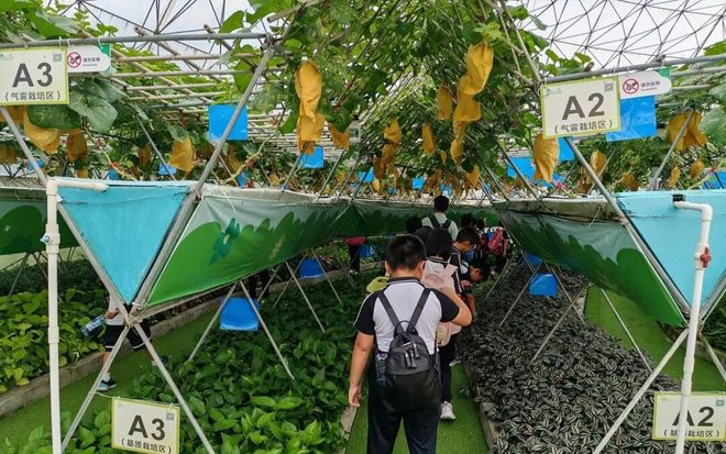 秋假去哪儿？这份研学攻略请收好(图5)