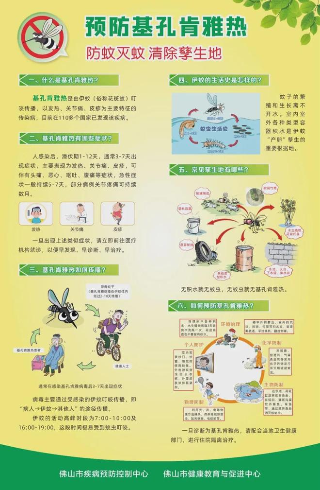 南海欢迎全球乡亲回家！七镇街行程亮点抢先看→(图29)