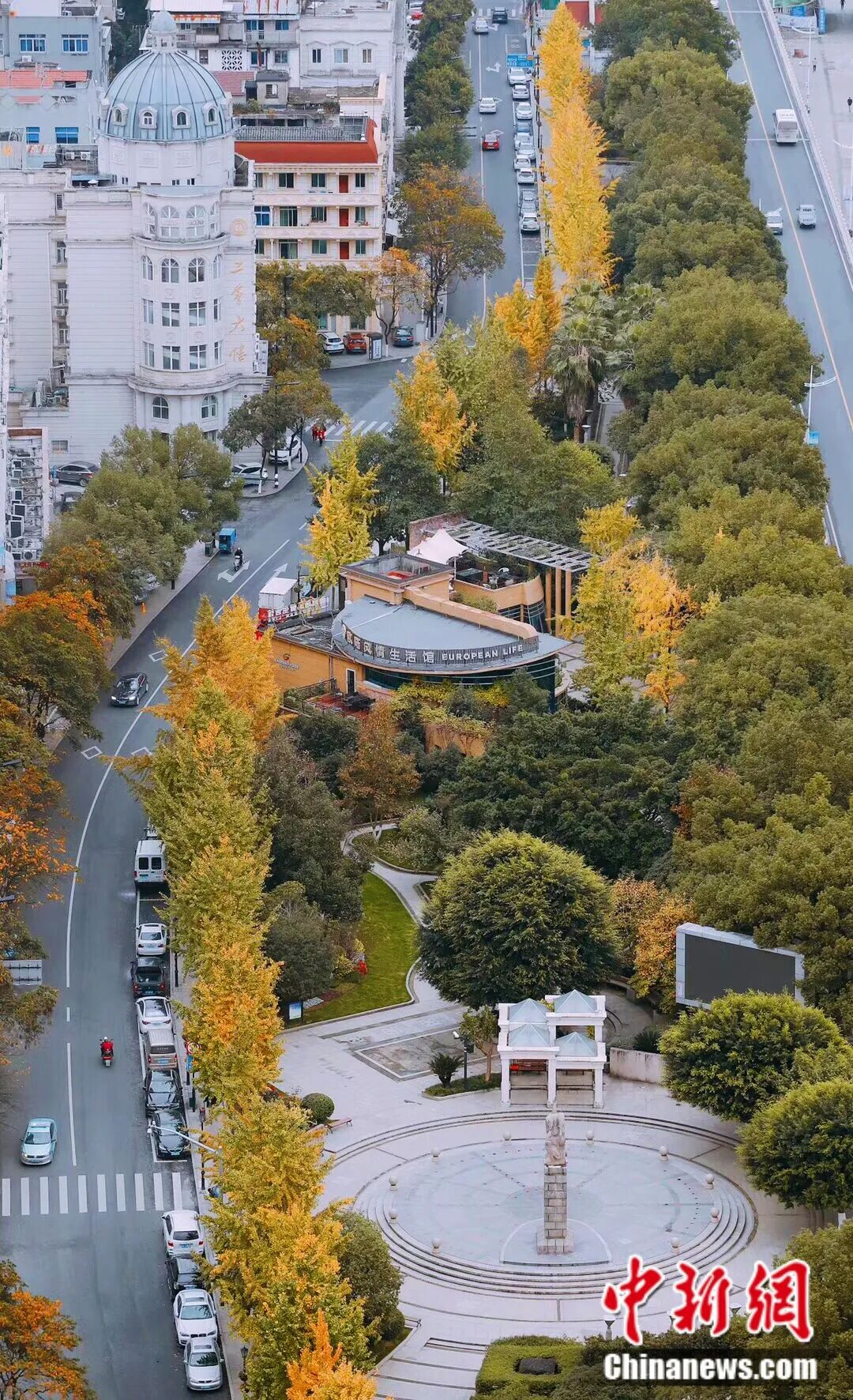 人这一辈子一定要去一趟侨乡青田！(图13)