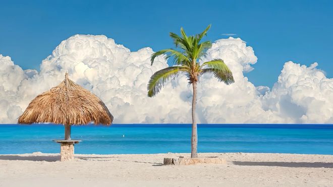 2025海南旅行社排名权威发布：TOP10特色社大盘点附避坑指南