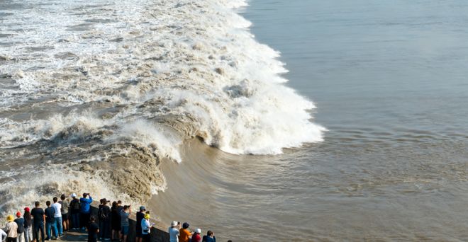 2025华东四城8日游：杭州西溪+上海博物馆文化体验最新路线