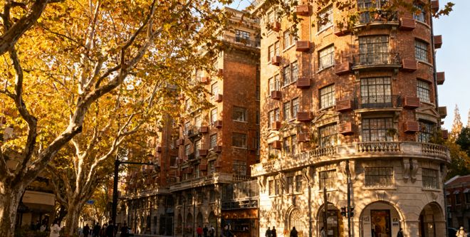 2025华东四城8日游：杭州西溪+上海博物馆文化体验最新路线(图8)