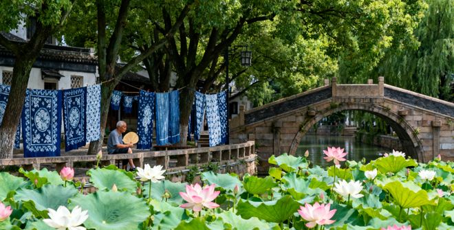 2025华东四城8日游：杭州西溪+上海博物馆文化体验最新路线(图4)