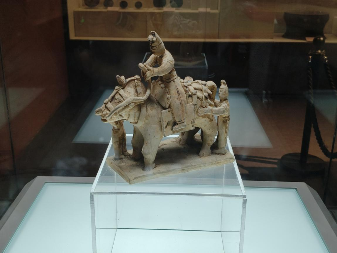 广西梧州：民族团结之花绽放文化传承薪火相传(图3)