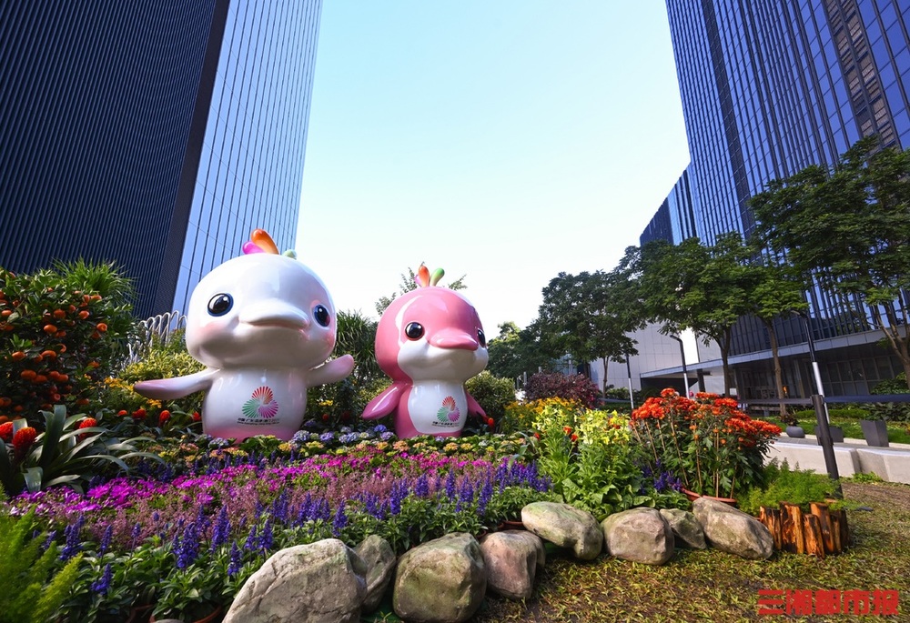 11月7日开始湖南运动员十五运集中冲金