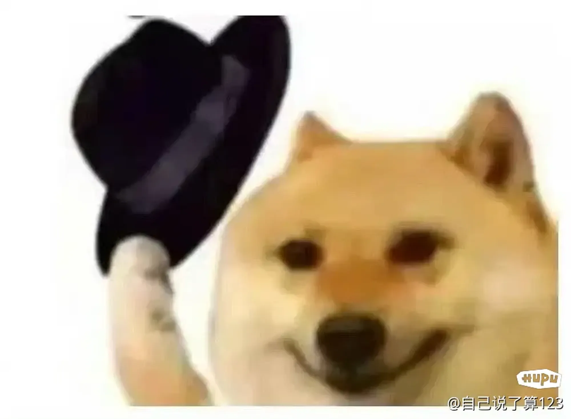 第15届粤港澳全运会竞技比赛即时金牌榜 2025116 14：00(图5)