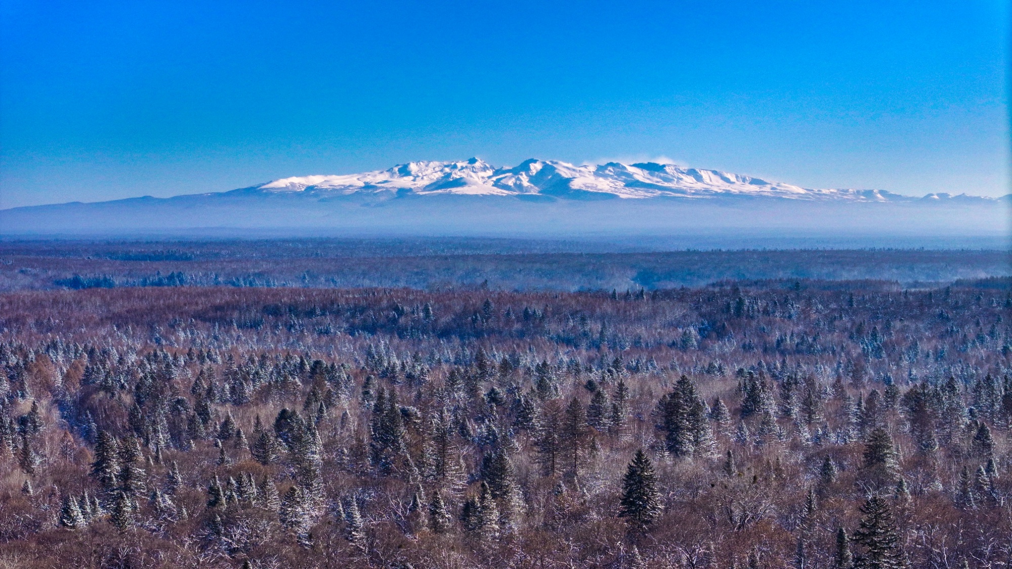 向雪而行 沈白高铁首个冰雪季这么玩(图8)