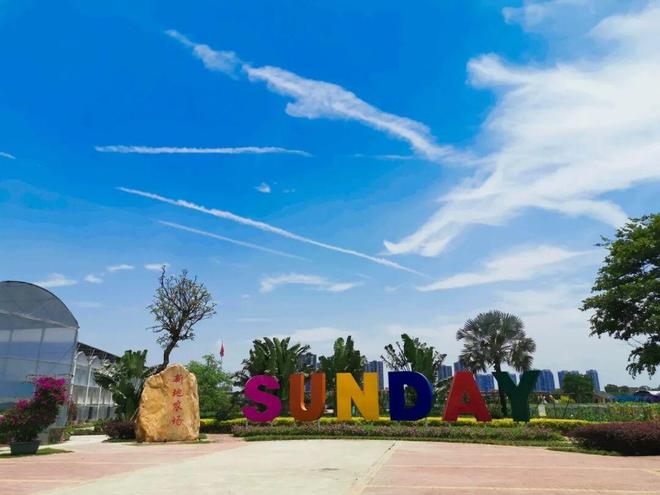 周末来顺德看中国龙舟大奖赛！收藏这一篇攻略就够(图6)