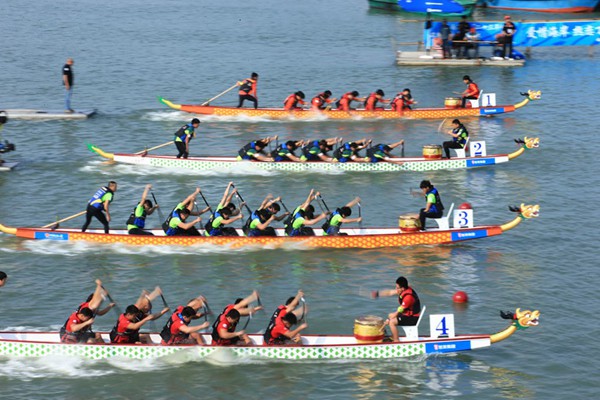 关于端午节赛龙舟的介绍