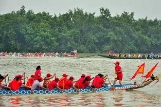 五年深耕铸辉煌 继往开来启新程 ——全市教体系统奋进“十四五”发展路、谋划“十五五”新蓝图