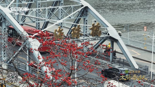 广东广州：2000多年未打烊的岭南商埠(图8)