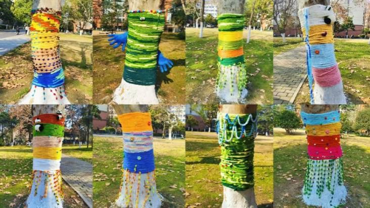 我校举办“编织温暖 树绘校园”代际共建活动