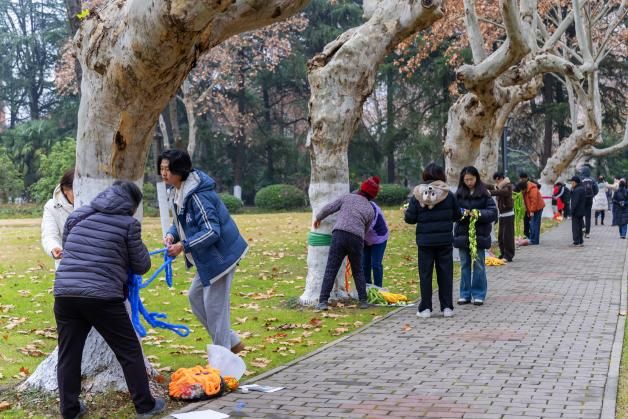 我校举办“编织温暖 树绘校园”代际共建活动(图2)