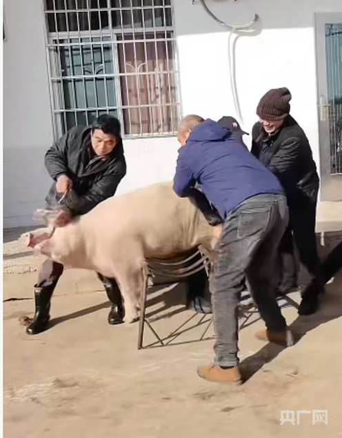 湖南一女子邀网友共享杀猪宴 1月18日开席