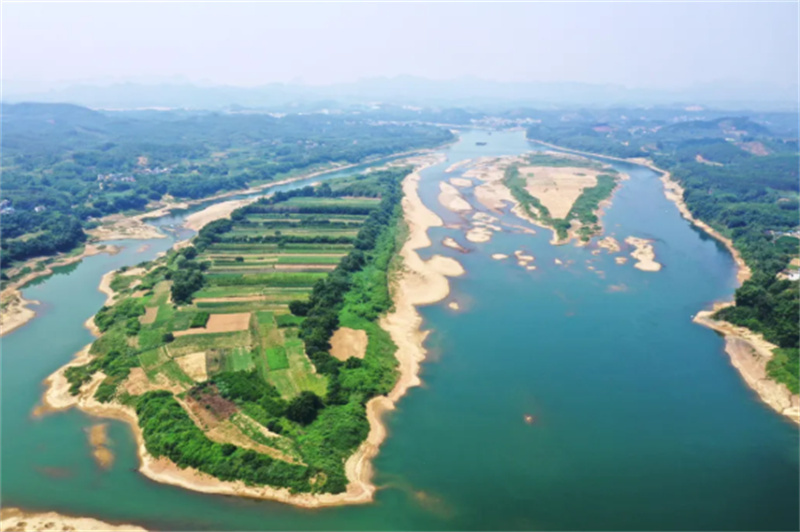 赛事预告丨新春篮球盛宴！白沙镇“体彩杯”周五火热开赛(图7)