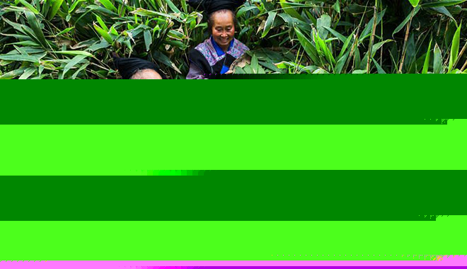 【央视快评】让传统文化焕发新时代风采