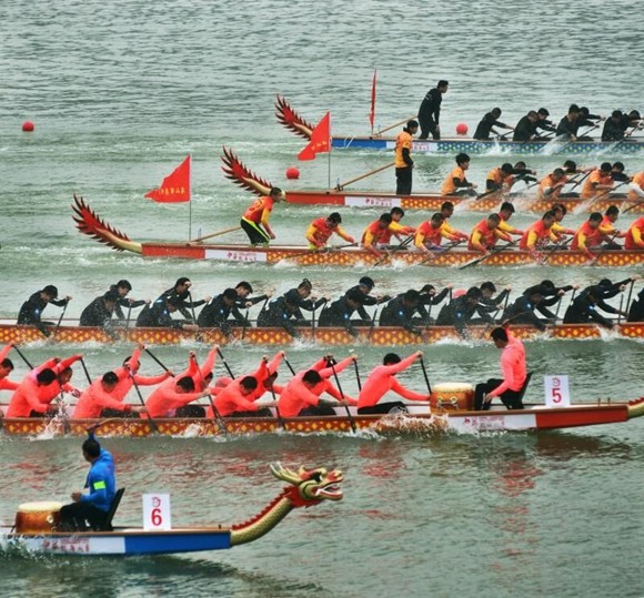 广州龙舟赛直播2025