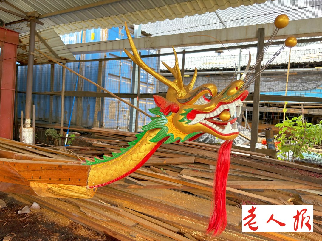 端午话龙舟 龙船制作有讲究 选材接驳技艺优