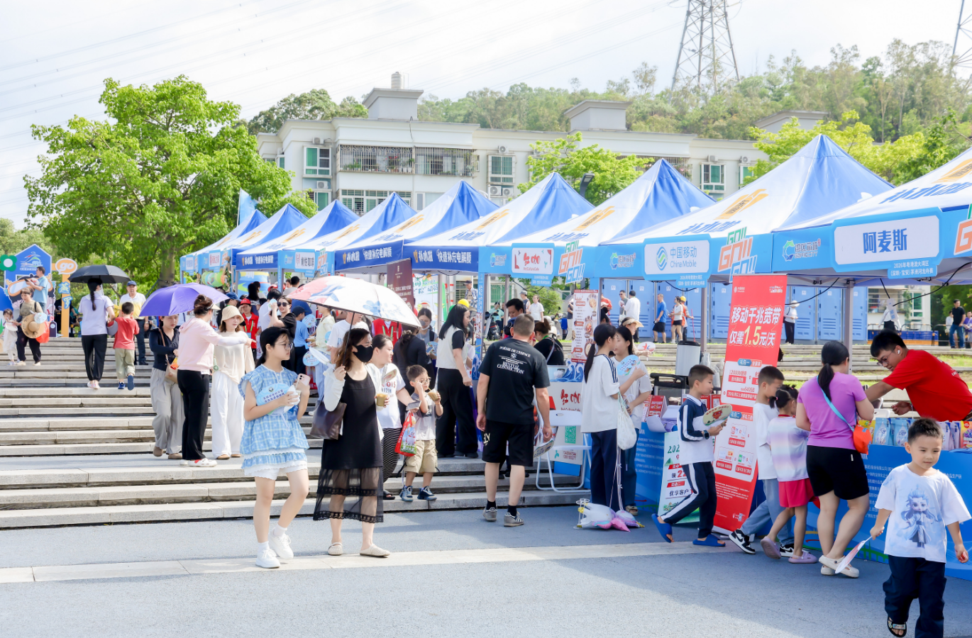 奋楫逐浪迎端午龙舟为媒聚湾区2026年粤港澳大湾区（深圳・宝安）茅洲河龙舟赛圆满收官