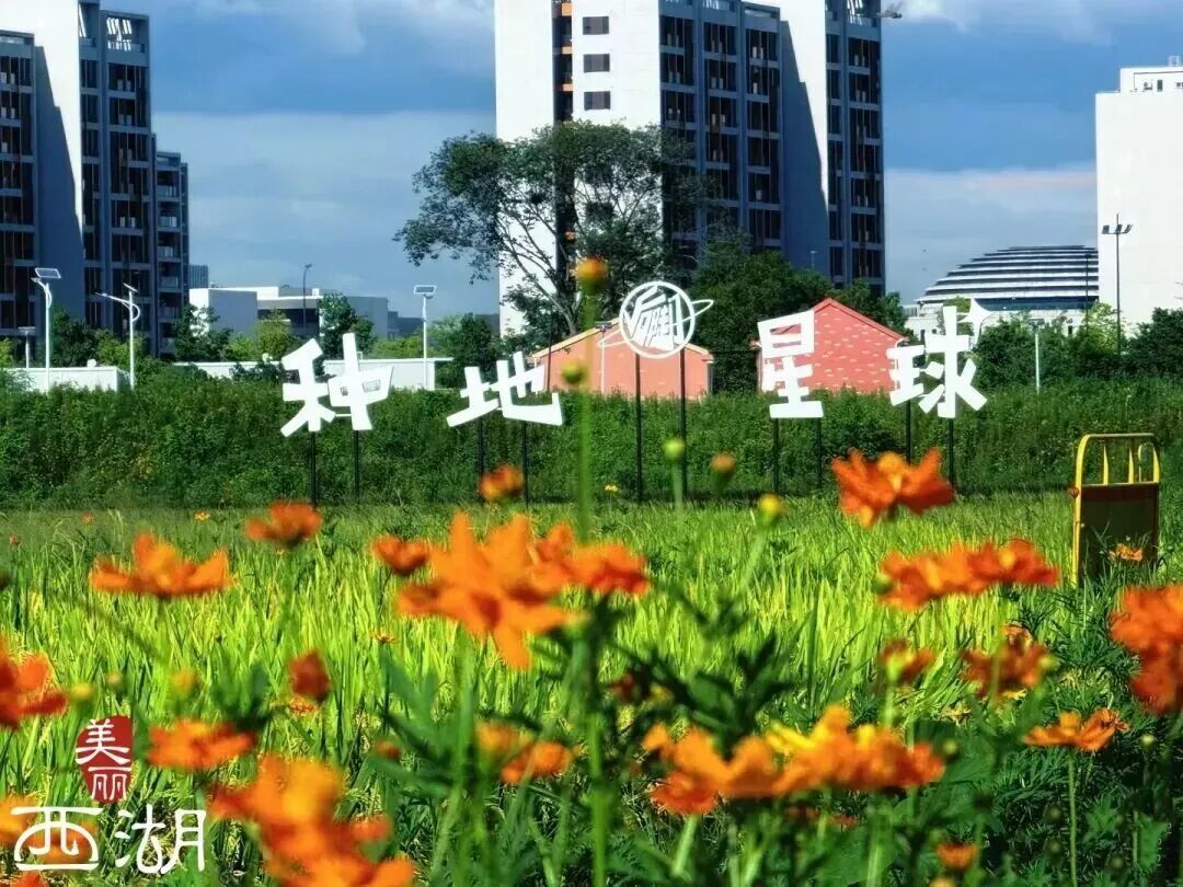 一部综艺带火一座城！揭秘《种地吧》背后的“西湖力量”(图6)