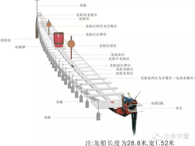 端午节是怎么划龙舟的